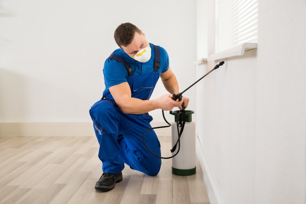 Pest Control Services